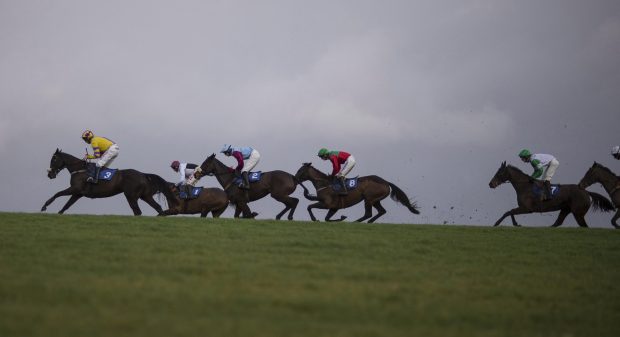 Runners round the course at Wincanton