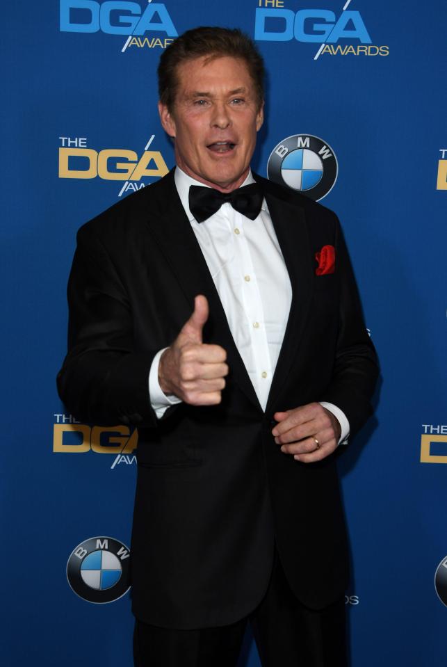 David Hasselhoff