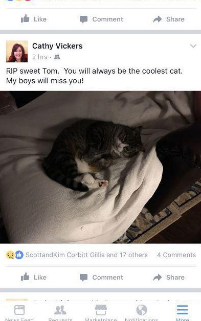  Cathy posted a touching message about the cat to Facebook, and her pals were very sympathetic