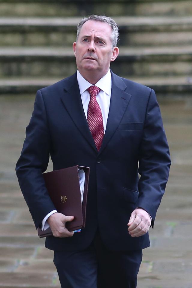  Liam Fox dismissed suggestions of a huge bill for quitting the bloc