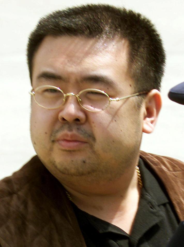  The estranged brother of North Korea's leader Kim Jong-un had reportedly been hoping to defect