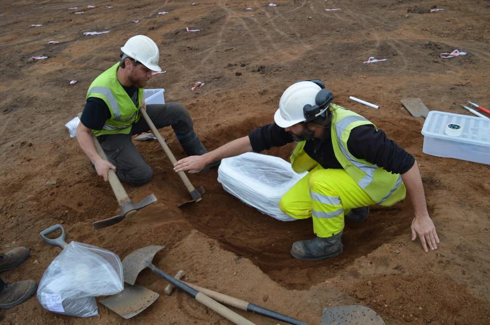  The archaeological dig has been heralded as internationally significant after a gold-decorated bronze spearhead was discovered on the site