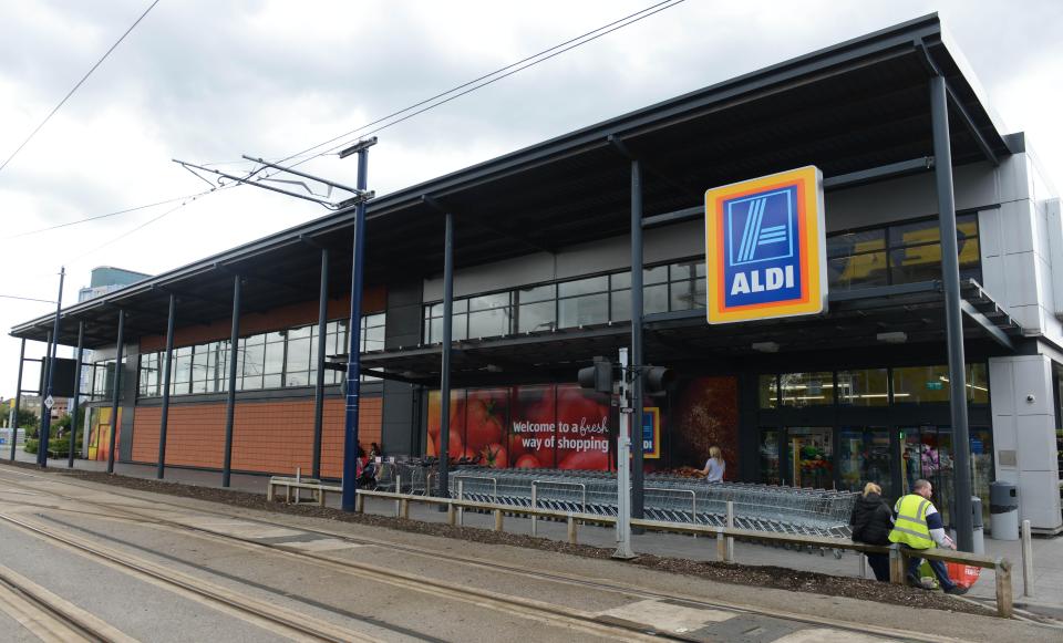 She had been shopping at her local Aldi in Ashton under Lyne, Manchester, when she noticed the trolleys didn't have safety restraints