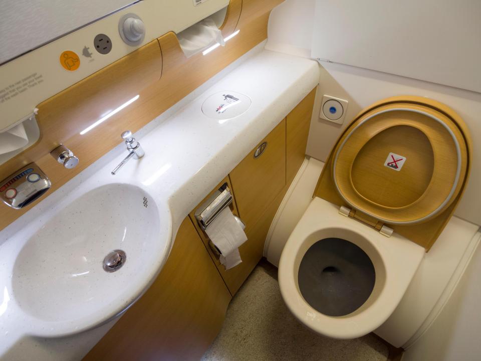  The flush button in an aeroplane loo is also covered in germs