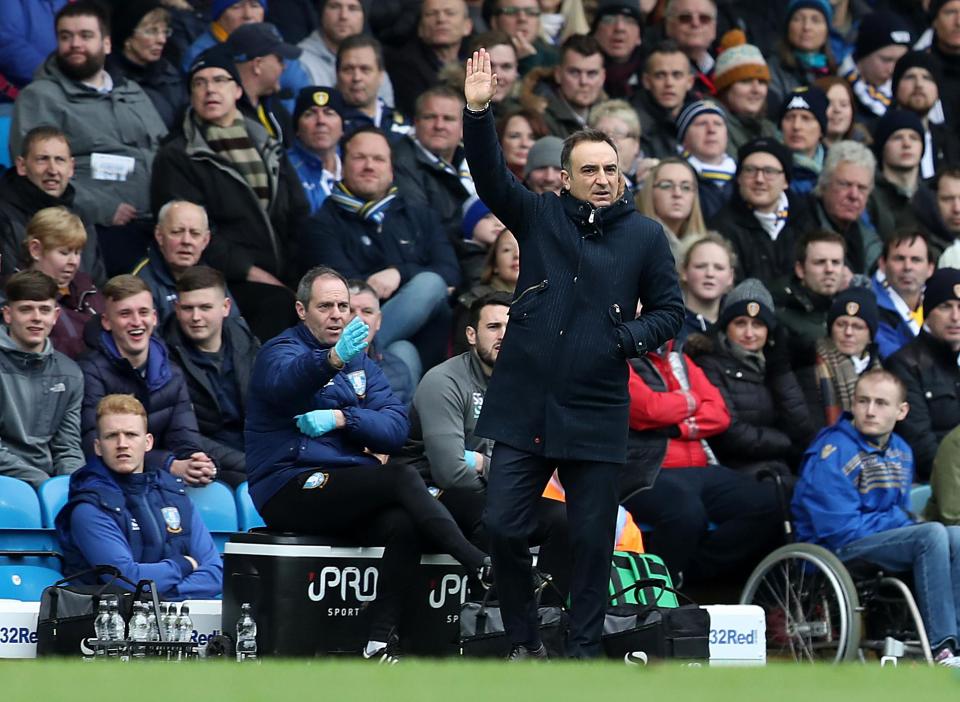  Carlos Carvalhal's side were on a five-game unbeaten streak