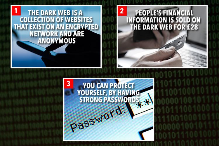  The dark web is a scary place, but you can protect your data from being stolen by following a few simple steps