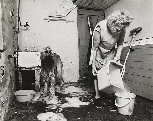  ‘Dogs’ hairdressing, Shields Road, 1981′. A woman, dressed in a tabard, is seen pouring hot water into a bucket. Next to her, standing in a puddle of soap suds, is a wet, washed, longhaired Afghan hound