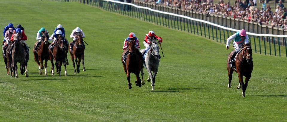  Newmarket's undulations can catch horses out - but it was no problem for Frankel in the Guineas