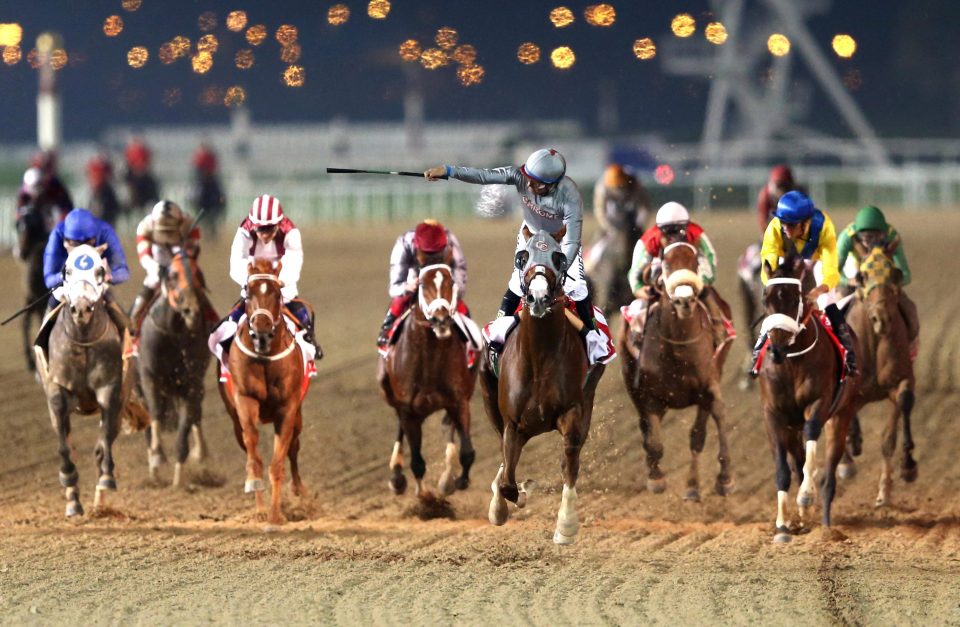  California Chrome won the Dubai World Cup last year