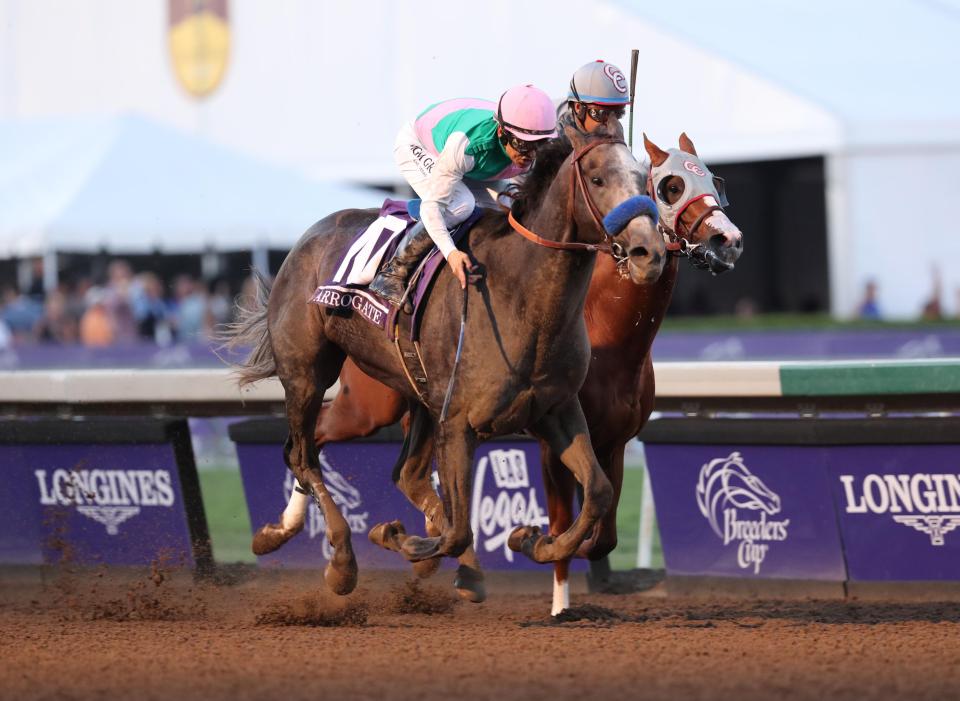  Arrogate is the hot favourite for the Dubai World Cup