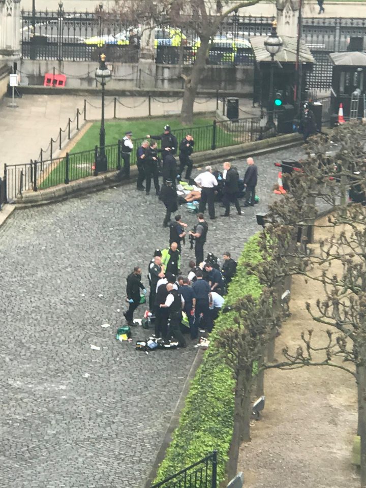  Witnesses say a car mowed down a dozen pedestrians on Westminster Bridge before crashing into the gates outside Parliament