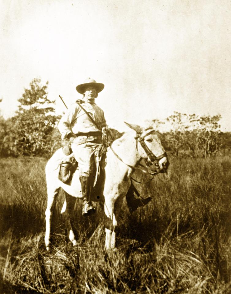  Fawcett pictured in 1925 shortly before his disappearance