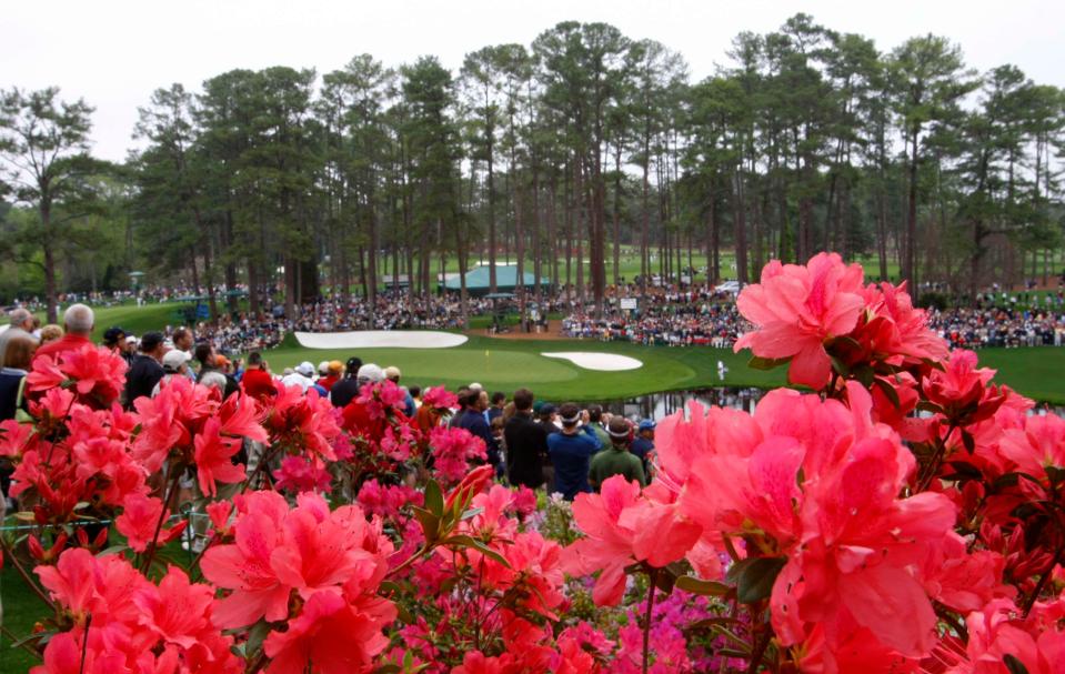  The azaleas add some incredible colour to the course during Masters week