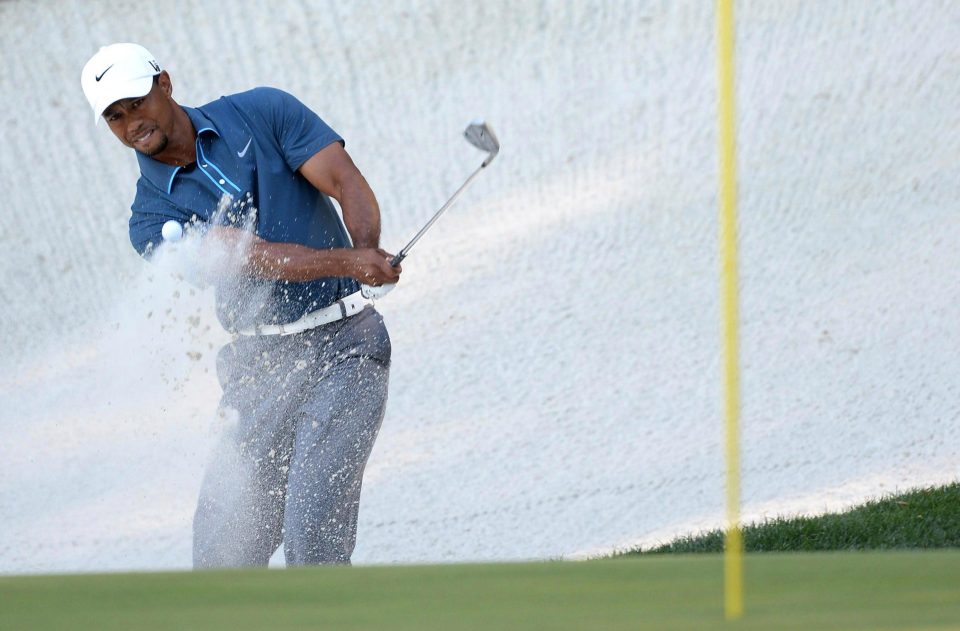  Tiger Woods hits out of an Augusta bunker... which is not filled with sand