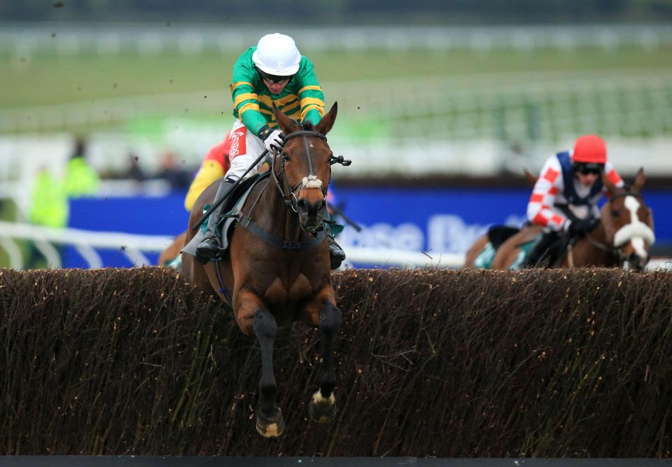  Minella Rocco was second in the Gold Cup last year