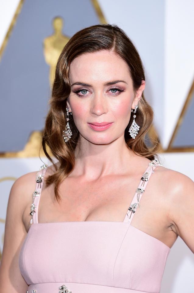  Emily Blunt has reportedly been blessed by Julie Andrews to play Mary