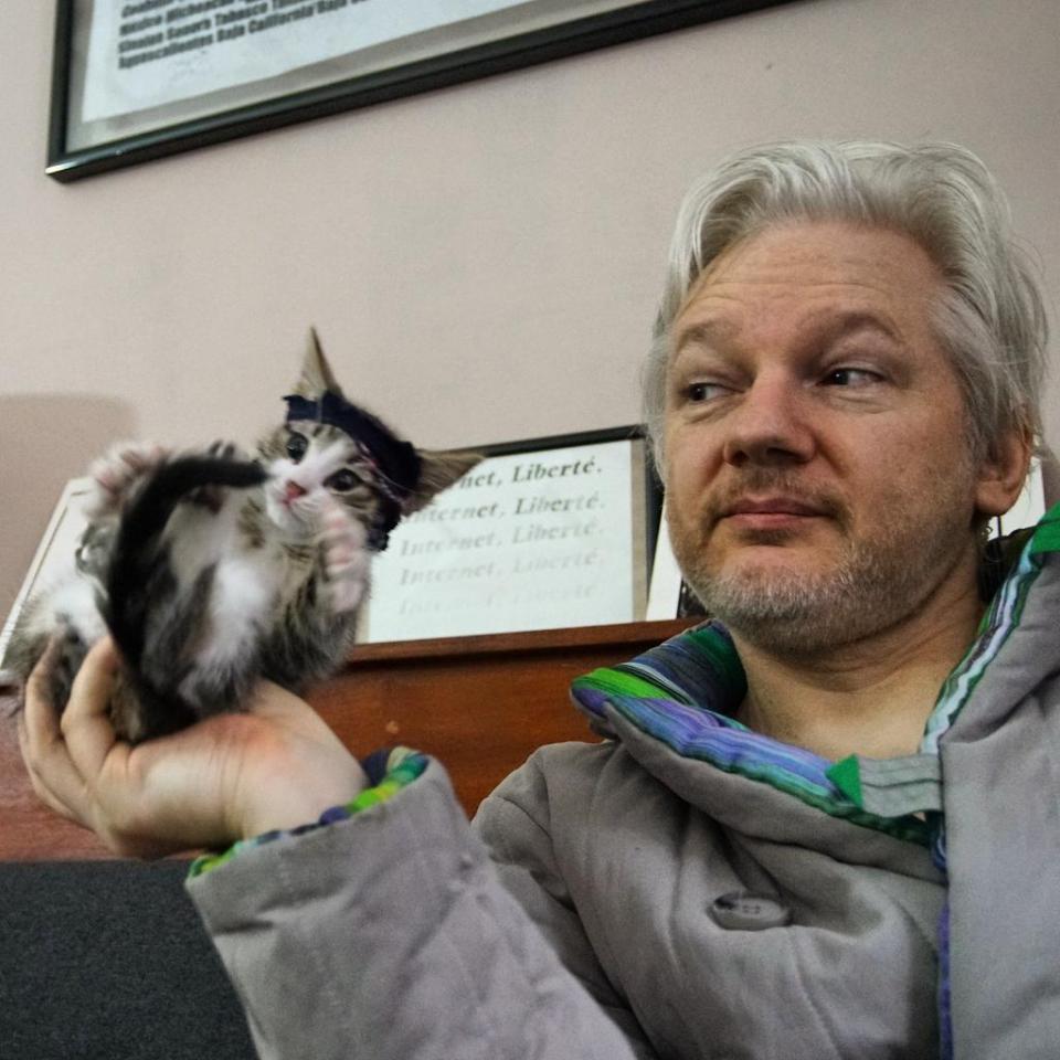  Julian Assange pictured with the embassy cat