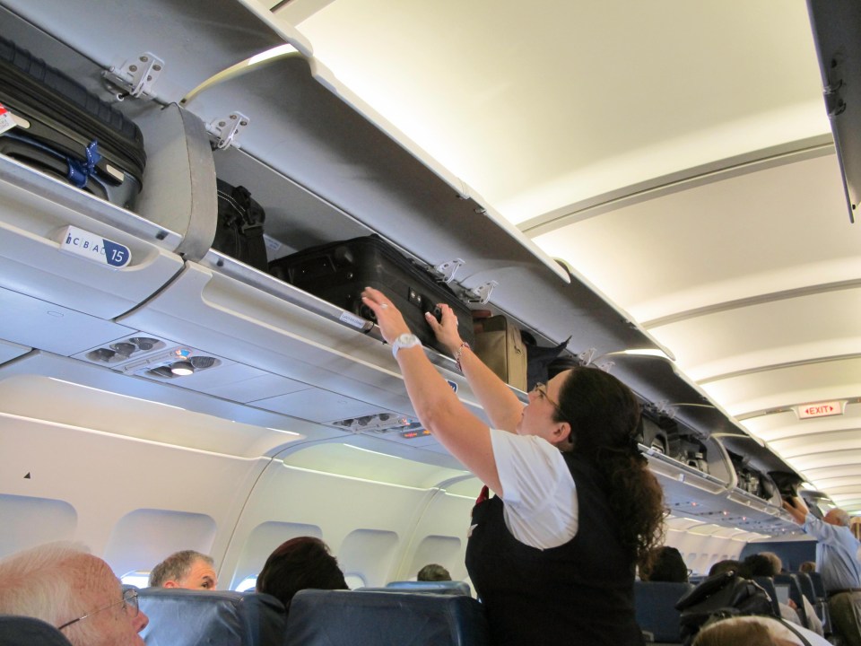 A woman is suing an airline after a suitcase fell out of a plane’s overhead compartment and landed on her head (file photo) 