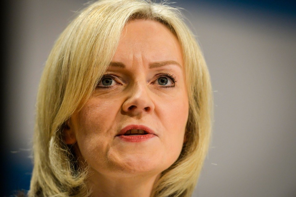 Justice Secretary Liz Truss has vowed to introduce tougher sentences for Revenge Porn offenders