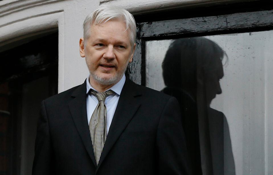  In a radio interview Assange described Anderson as 'attractive'