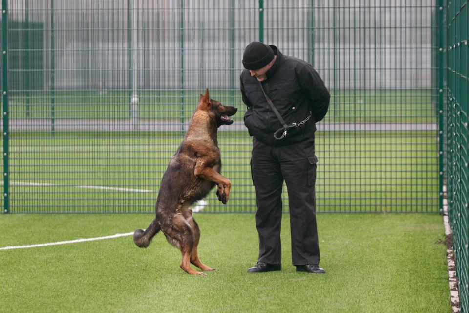  The prison also has its own drug dogs which can detect illegal drugs as well as psychoactive substances