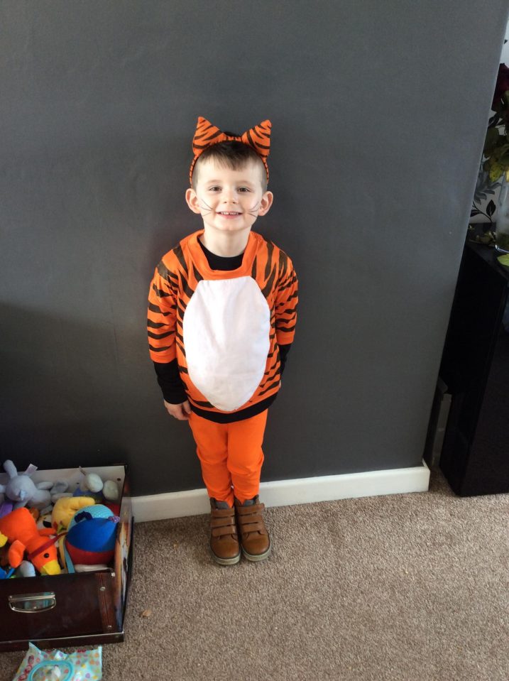  Alistair Parkinson, 4, from bolton as The Tiger Who Came To Tea