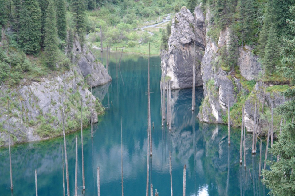 The trees poking through the water have been compared to the masts of sunken ships