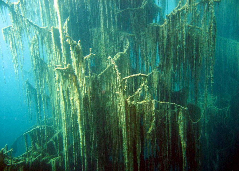 The lake is popular with ice divers because the water is so clear and the environment is so unusual