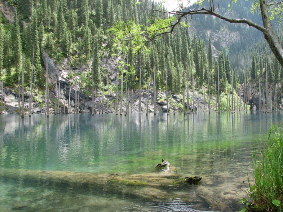 The lake is famed for its astonishing natural beauty and fascinating ecosystem