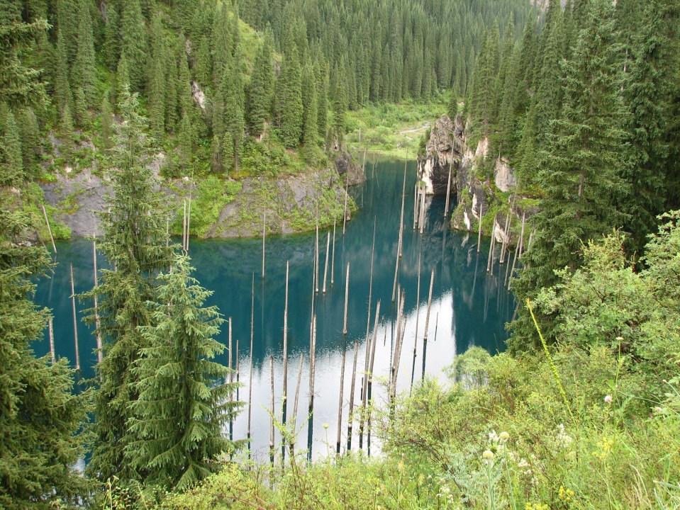 The trees poke through the surface of Lake Kaindy in Kazakhstan