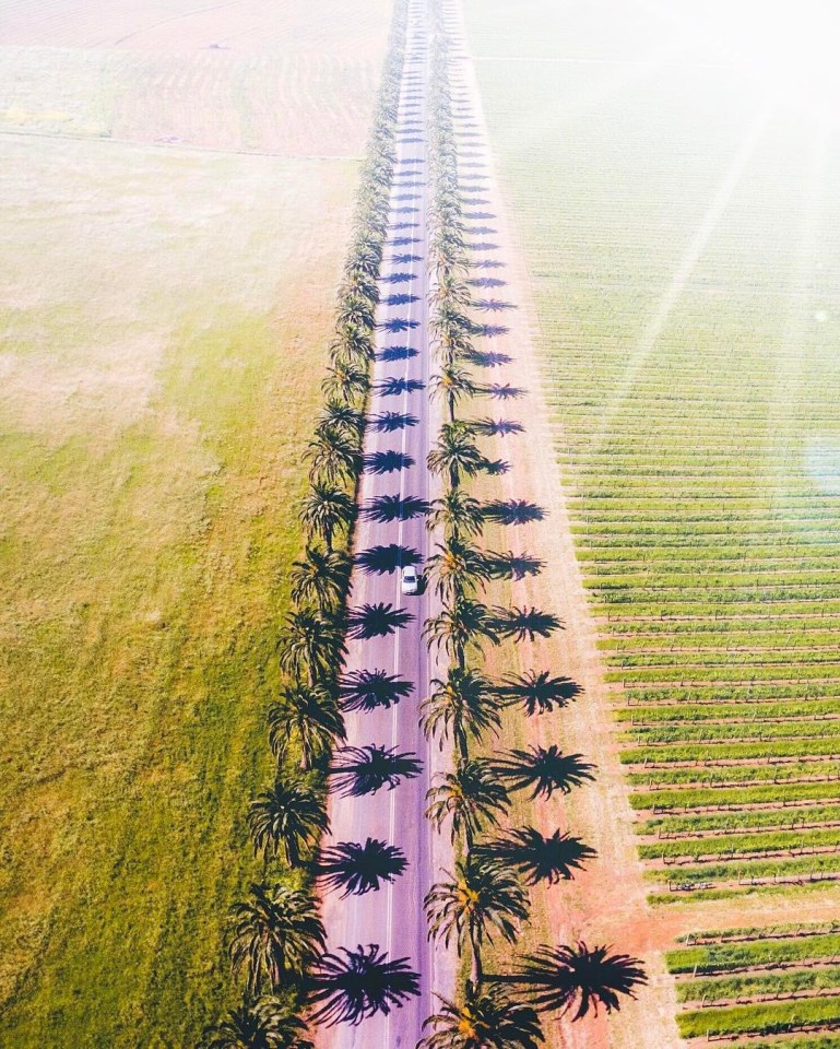 Barossa Valley. The photographer seeks to capture scenes that can appear mundane but are actually astonishing when viewed from another angle