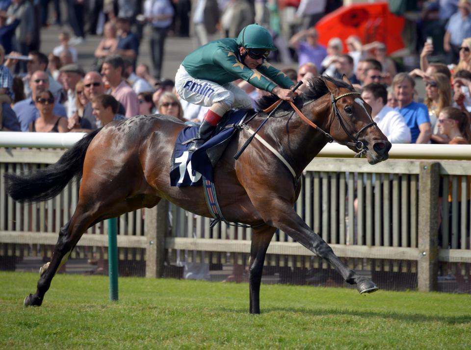  Yuften wins at Newmarket