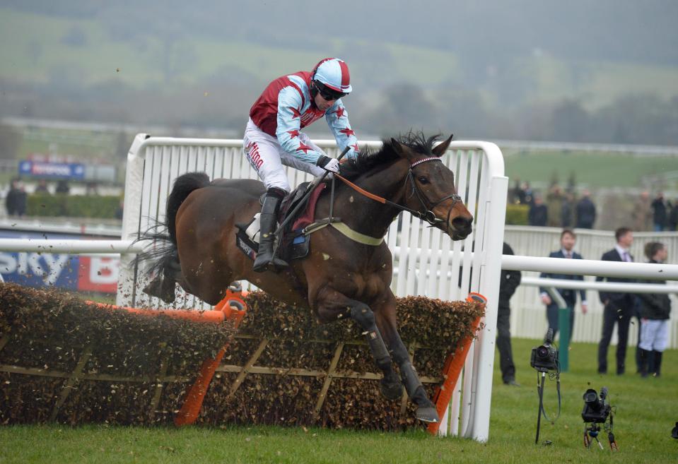  WILLIAM H BONNEY at Cheltenham