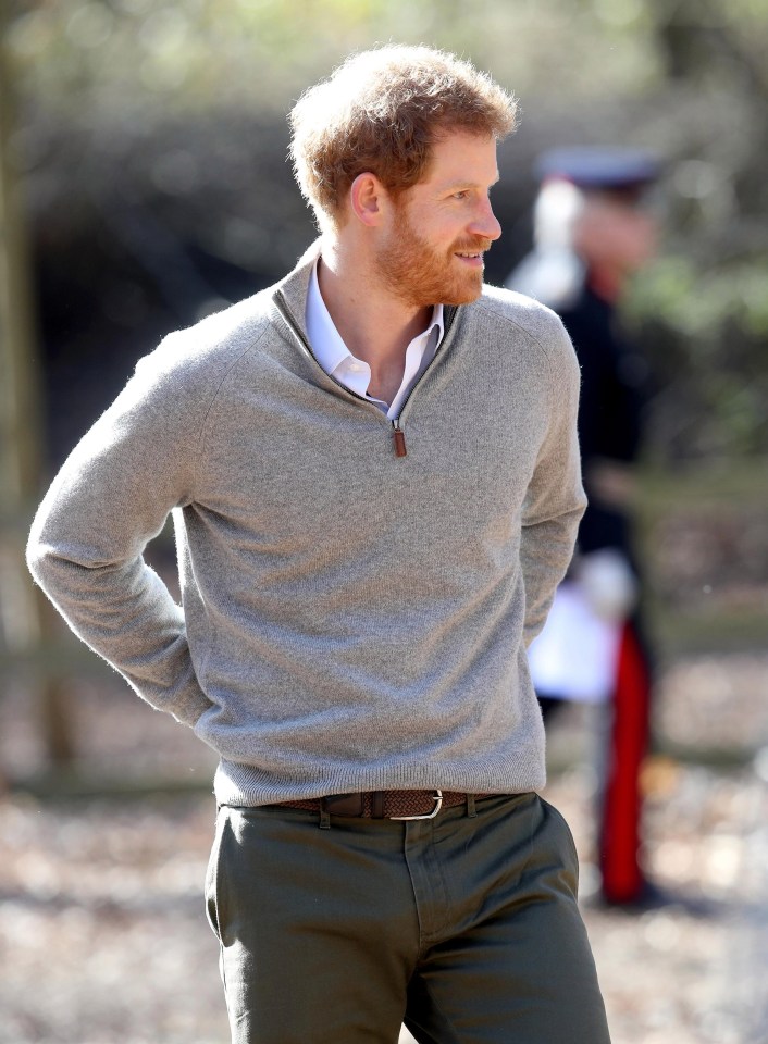 His trip came as brother Prince William went skiing in the Swiss resort of Verbier