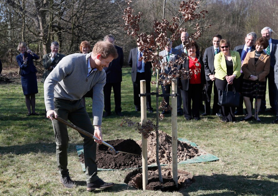 He planted a tree at the Wood Forest Restoration Project in Epping Forest, Essex