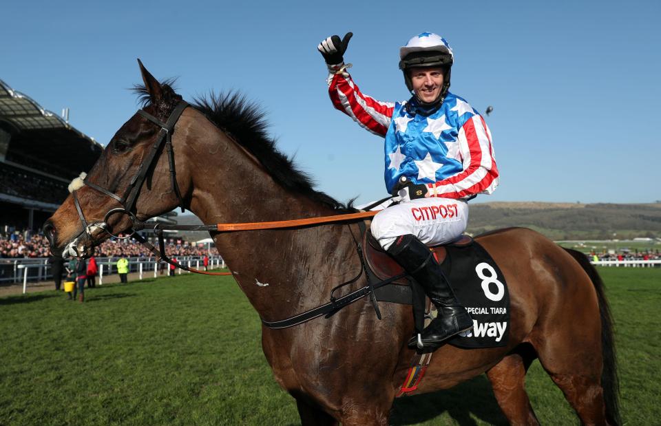  Special Tiara was a shock winner of last year's Queen Mother Champion Chase