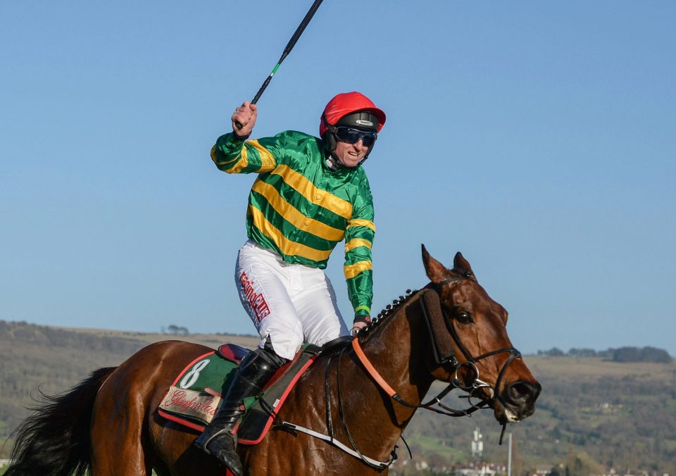  Cause of Causes wont the cross-country at Cheltenham