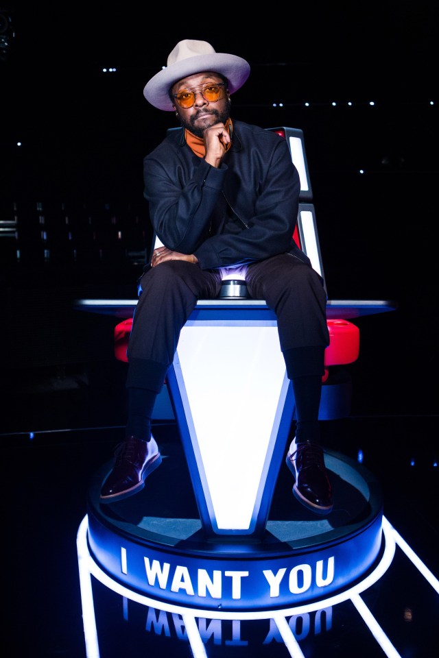 How much do YOU know about the Voice judge?