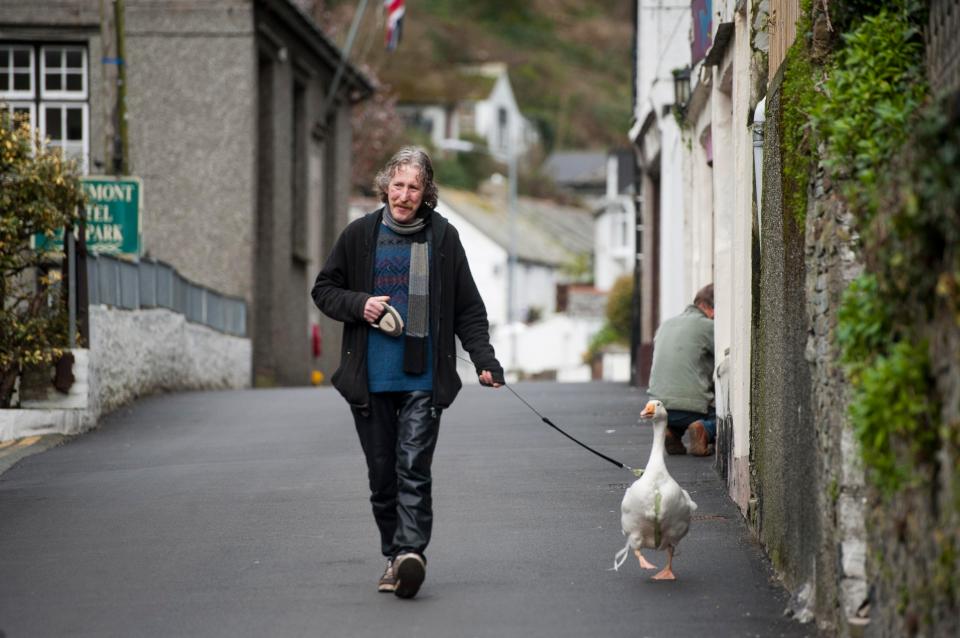  Take a gander at this ... Nick and his goose Sasha stroll through the Cornish village of Polperro