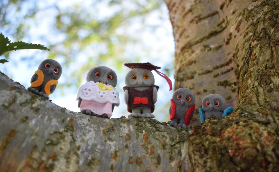  The owl family was apparently one of the most popular