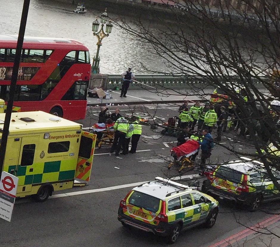  A car driven by the terror attacker ploughed through crowds on Westminster Bridge