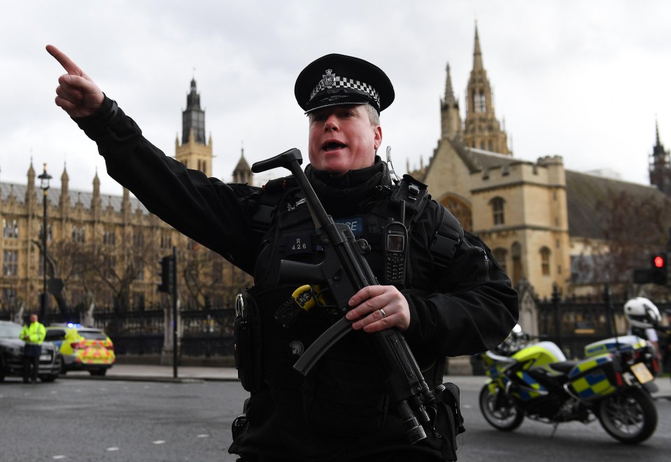 Armed police push people back following a suspected terror attack outside parliament 