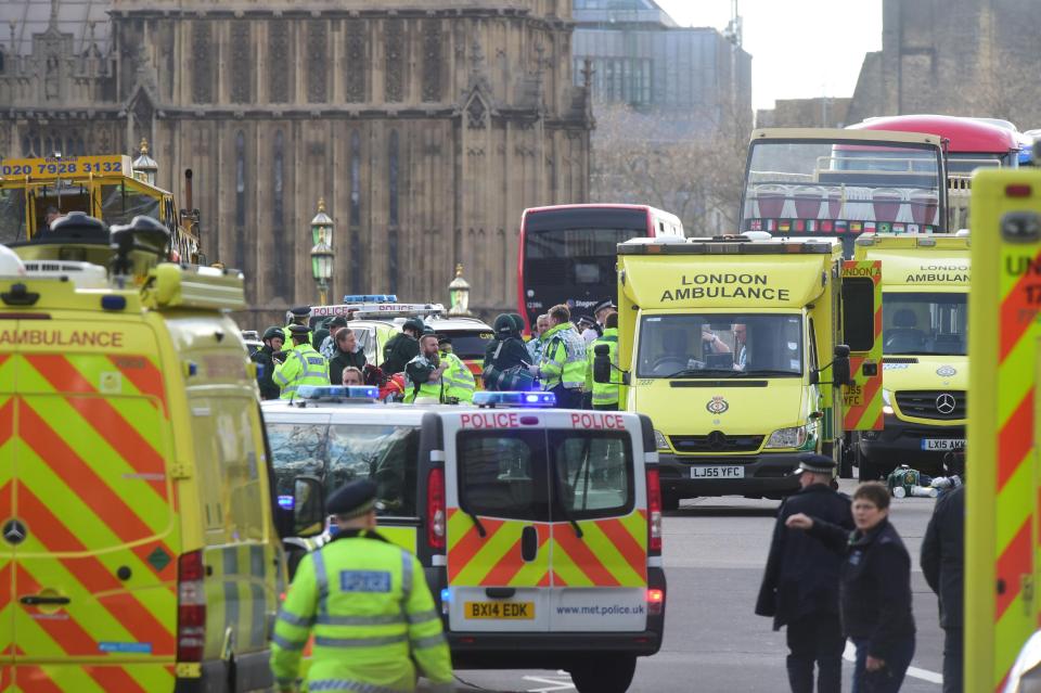  Witnesses said the car barrelled through pedestrians walking along the bridge