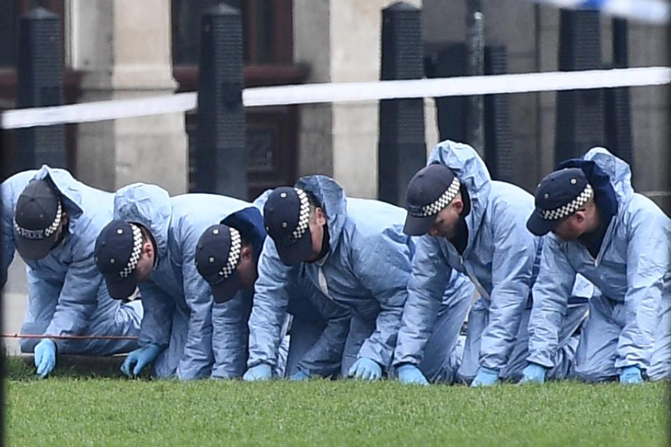  Police officers in forensics suits search the grass on Parliament Square gardens outside the Houses of Parliament on Thursday morning