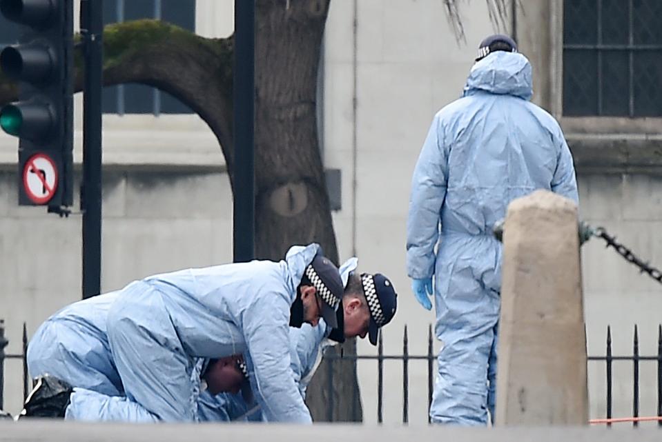  Police were on their hands and knees searching the area for clues