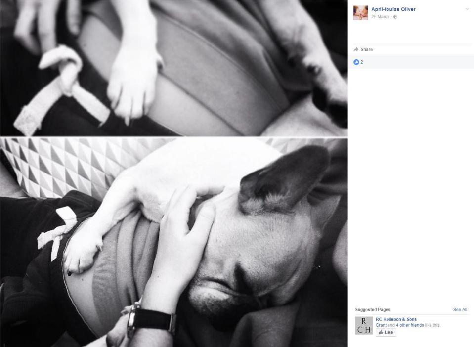  In another touching photo, April posted a picture of her cradling a dog which has its paw placed on her belly