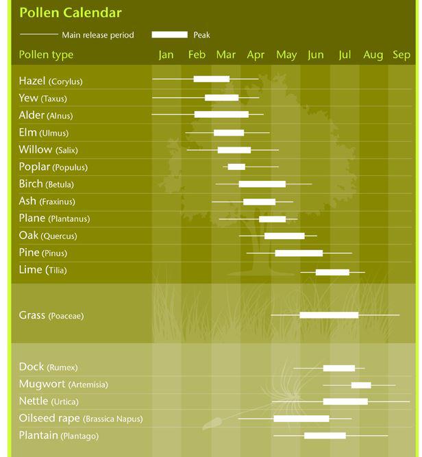 These are the months of the year in which pollen is at its highest levels