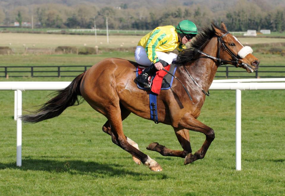  Brendan Brackan lands the Irish Lincoln