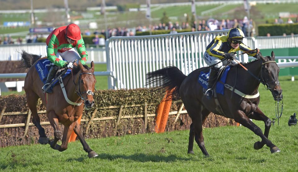  Neon Wolf (left) was beaten by Willoughby Court