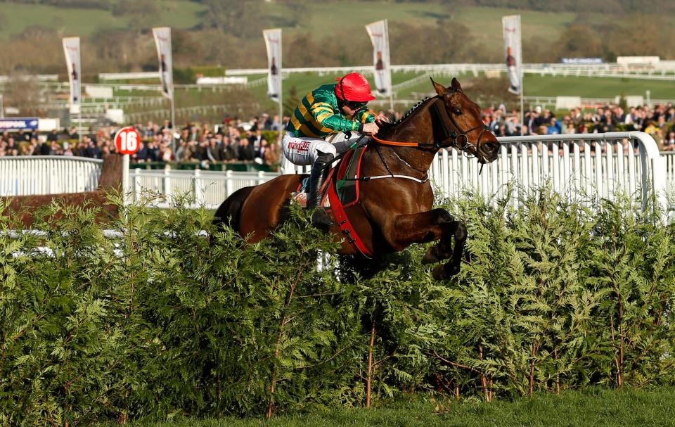  Jamie Codd and Cause Of Causes clear the final fence in the cross-country